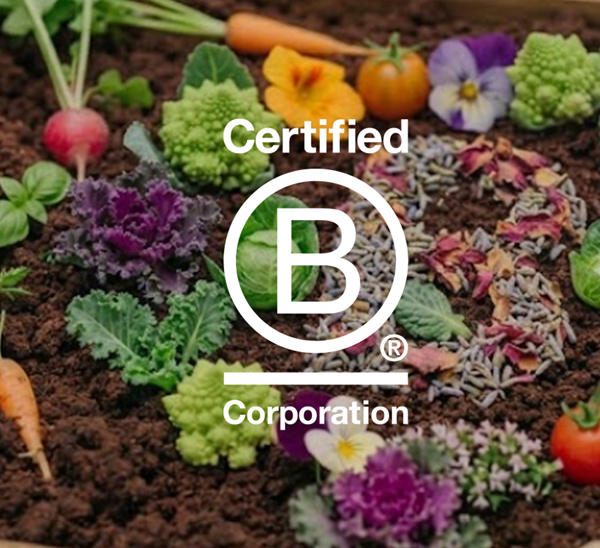 B-Corp
