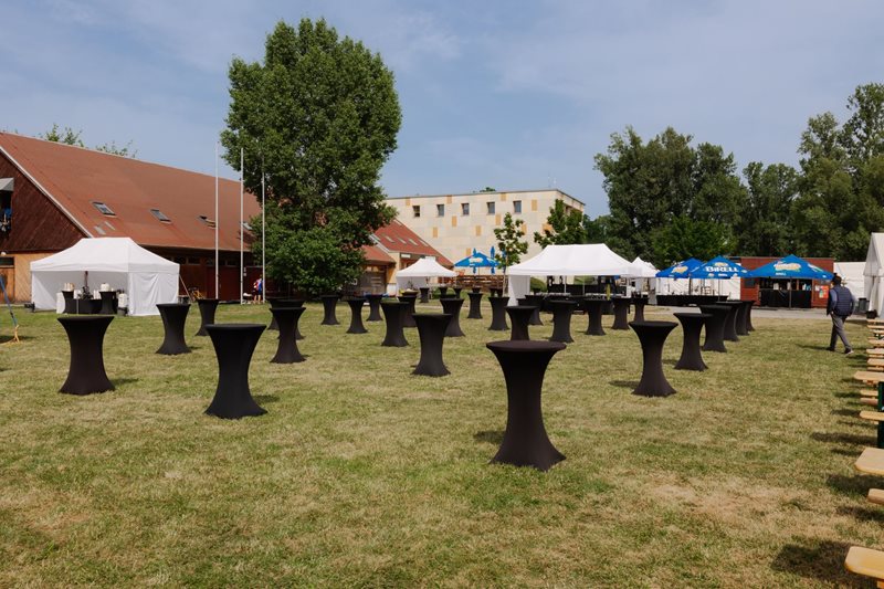 Letní sportovní den pro MSD